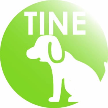 Tinepet, la app Tamagotchi para niños con autismo