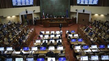 Entérate de las últimas noticias y la información actualizada de las ayudas del Gobierno junto a las novedades sobre el proyecto del Cuarto Retiro AFP en el Congreso.