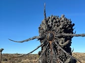 Ni PlayStation ni Xbox, nadie sabía qué era la estatua de ‘Divinity’: “Aún tenemos que hablar con ellos”