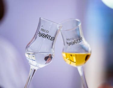 El pisco chileno hace historia: ¡destacó entre más de 2.500 destilados del mundo!