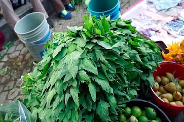 Ni el brócoli, ni la linaza: el gran alimento mexicano que ayuda a prevenir las enfermedades cardiovasculares