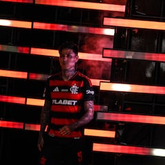 La Roja le da una mano a Erick Pulgar