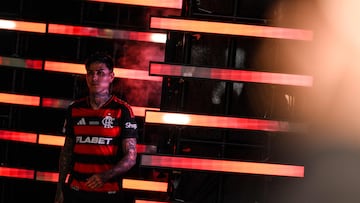 La Roja le da una mano a Erick Pulgar