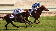 'Avenue Dargent' acapara todos los flashes en La Zarzuela
