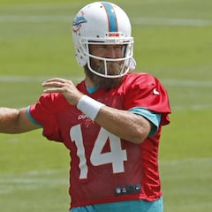 Ryan Fitzpatrick, el favorito para iniciar con titular con Dolphins
