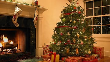 La llegada del árbol de navidad a México radica en el siglo XIX cuando las familias europeas comenzaron a adornar para celebrar las fiestas.