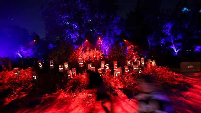 While some people stick to traditional Halloween decorations, others go all out drawing crowds and sometimes even prompting a call to 911.