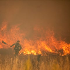 Empeora el incendio de Zamora: cortan el AVE y evacúan a los vecinos de veinte localidades