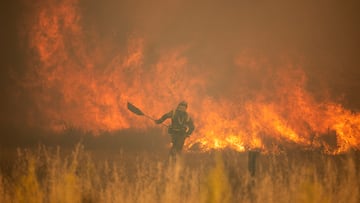 Efectivos de bomberos durante el incendio de la Sierra de la Culebra, a 18 de junio de 2022, en Zamora, Castilla y León (España). Este incendio, que continúa en nivel 2 de riesgo, ha calcinado ya cerca de 20.000 hectáreas en el oeste de la provincia y ha obligado a cortar la circulación ferroviaria entre Zamora-Sanabria Alta Velocidad y Madrid-Galicia durante al menos todo el sábado.
18 JUNIO 2022
Emilio Fraile / Europa Press
18/06/2022