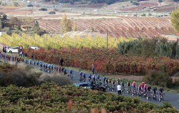 El pelotón durante la octava etapa de la Vuelta a España entre Logroño y Moncalvillo 
