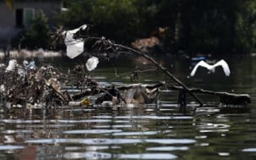 La ciudad de Río de Janeiro continúa recibiendo las críticas a nivel local y en el extranjero por el estado en el que se encuentran las aguas donde se tiene previsto realizar las competiciones como la maratón de natación, vela y los eventos de triatlón de los Juegos Olímpicos de 2016. Sin tratamiento de aguas residuales y llenas basura las playas de Copacabana y la Bahía de Guanabara, se encuentran en un estado desastroso