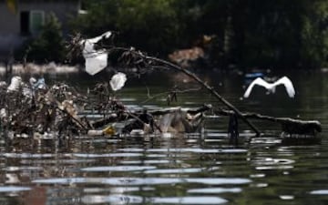 La ciudad de Río de Janeiro continúa recibiendo las críticas a nivel local y en el extranjero por el estado en el que se encuentran las aguas donde se  tiene previsto realizar las competiciones como la maratón de natación, vela y los eventos de triatlón de los Juegos Olímpicos de 2016. Sin tratamiento de aguas residuales y llenas basura las playas de Copacabana y la Bahía de Guanabara, se encuentran en un estado desastroso