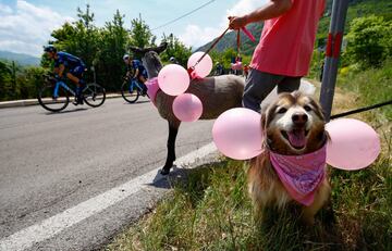 El pelotón durante la novena etapa del Giro de Italia 2022 con un recorrido de 191 kilómetros entre Isernia y Blockhaus.