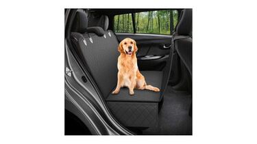 Reunimos 10 accesorios para perros que harán sus cuidados más sencillos y prácticos