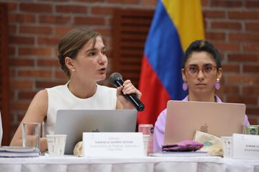 Renuncia de Daniela Gómez, viceministra de Defensa: motivos y quién le sustituye