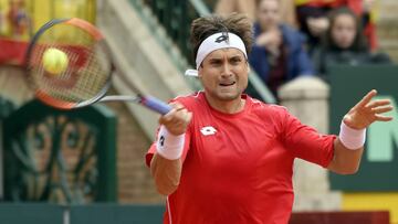 David Ferrer.