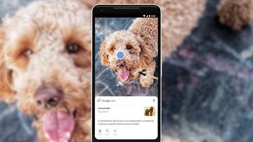 Google Lens mejora el acceso a tu galería para reconocer imágenes