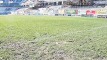 Así lucía ayer el césped de La Rosaleda.