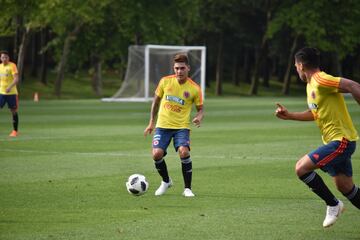 La Selección Colombia jugó un amistoso a puerta cerrada ante la Primavera del Genoa en Milanello, en el cual José Pékerman puso a prueba los esquemas y variantes que ha trabajado en los últimos días. James y Cristian Zapata, los ausentes. Otro que no tuvo acción fue José Fernando Cuadrado por decisión técnica.