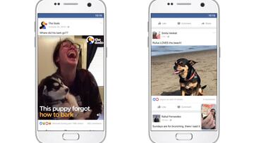 Ya puedes sacar a la pantalla de inicio los videos de la app de Facebook