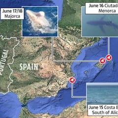 Las playas españolas con más probabilidad de que aparezcan tiburones