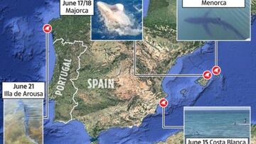 Las playas espa?olas con m¨¢s probabilidad de que aparezcan tiburones