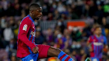 Gato negro, gato blanco