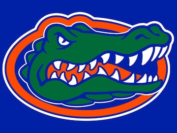 Uno de los exitosos equipos del fútbol americano colegial está representado por la figura que dio nombre a la bebida hidratante Gatorade. Los colores azul y naranja son parte de la institución, la Universidad de Florida.