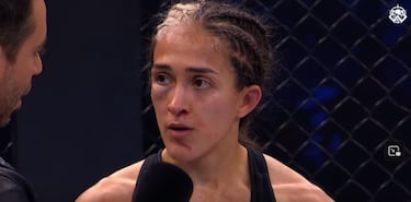 Jordi Wild lo ha vuelto a hacer: Dogfight Wild Tournament 3 ha sido más salvaje que nunca