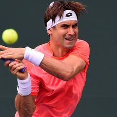 Ferrer sigue firme y anticipa un duelo de Davis ante Zverev