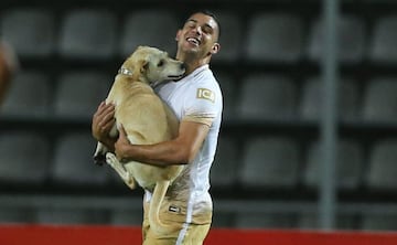 En duelo del torneo continental entre Táchira y Pumas, en territorio venezolano, una perrita entró al campo y de forma muy amistosa jugó y corrió con los futbolistas en pleno encuentro. El duelo se detuvo hasta que Alcoba, entonces defensa de los universitarios, de forma cuidadosa la cargó y llevó fuera del campo para continuar el encuentro.