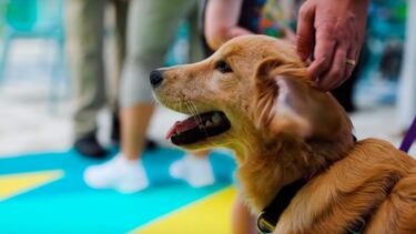 Star of the Seas: first impressions and everything you need to know about Royal Caribbean’s new cruise ship