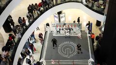 El COI recomienda que el boxeo esté en Tokio pero no la Asociación Internacional