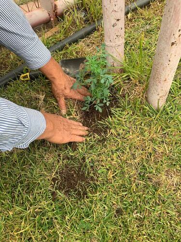 A lo Pablo Guede: la desesperada medida que tomó Unión San Felipe para cortar su mala campaña