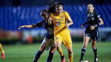 Tigres – Pachuca en vivo: Liga MX Femenil, jornada 7