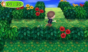 Captura de pantalla - Animal Crossing: New Leaf (3DS)