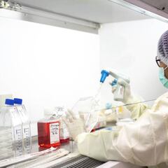 La inhalación de heces infectadas, nueva vía de transmisión del coronavirus