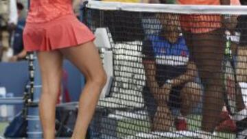 Vinci elimina a Serena y jugar¨¢ la final contra Pennetta