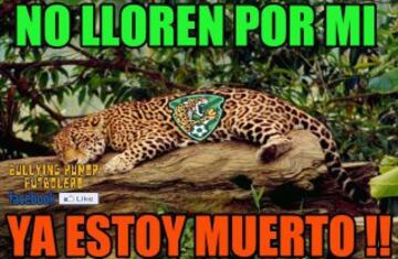 Los 40 mejores memes de la jornada 16 de la Liga MX