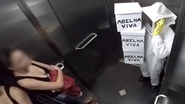 Cientos de abejas y un ascensor: la broma viral que circula por Whatsapp