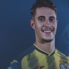 Hermoso: solo una piedra en el camino en un curso fulgurante