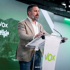 El motivo por el que VOX nunca saca escaños en el Parlamento gallego