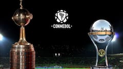 Libertadores y Sudamericana 2021: quiénes clasificaron y cómo está el panorama