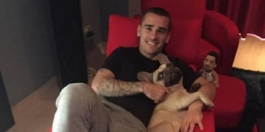 Las mascotas de los deportistas y sus parecidos de pelcula