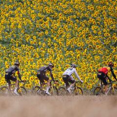 Ciclismo en ruta en los Juegos de Tokio 2020: horario, TV y dónde ver la carrera en directo online