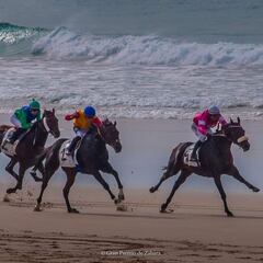 Carreras de caballos, Jazz y ‘horseball’ en Zahara 2023