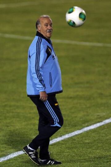 Vicente del Bosque.