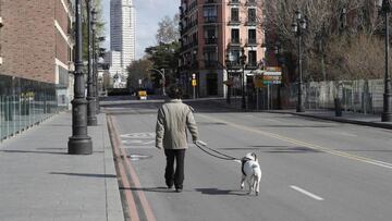 Un hombre pasea a su perro por la calle Bail&eacute;n de Madrid a la altura del Viaducto de Segovia durante el estado de alarma por el coronavirus.