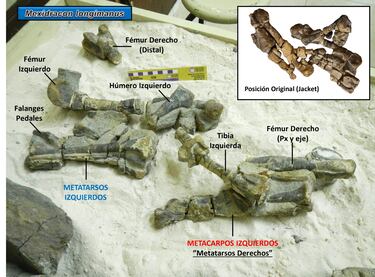 Encontrado un nuevo dinosaurio “único” en México: el Mexidracon, un terópodo con características nunca vistas