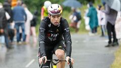 Etapa 20 del Tour de Francia 2025: el momento de Wout van Aert